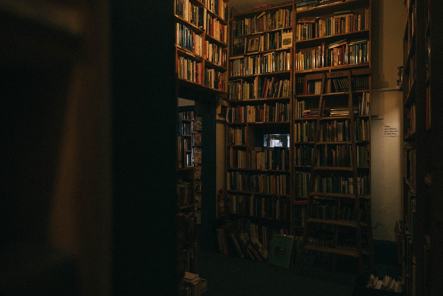 Liderazgo Femenino en la Literatura: Mujeres que Transforman el Mundo Editorial
